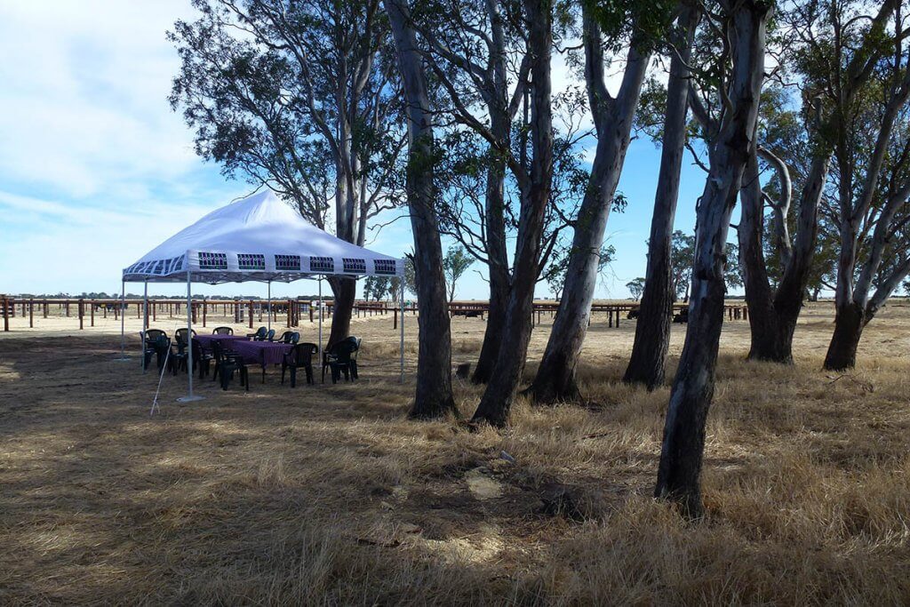 Gallery - Outdoor Dining Marquees